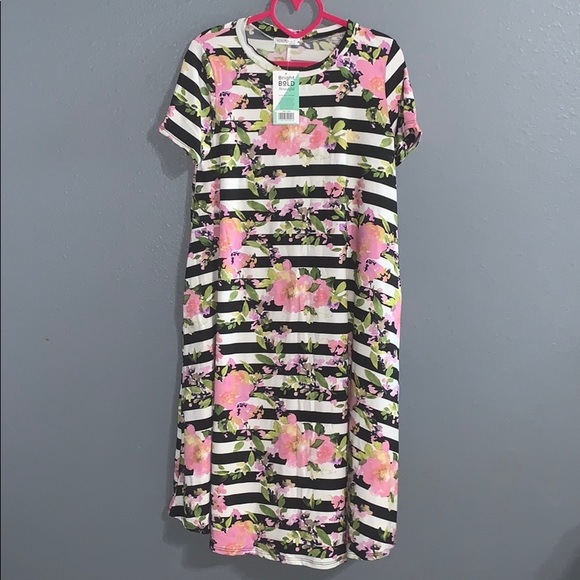 Honey and Lace Dresses & Skirts - NWT striped floral Napa